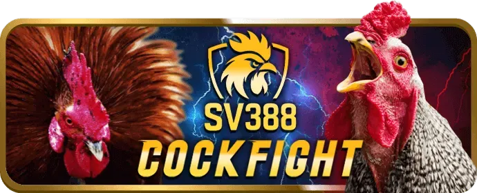 Cá cược thể thao kuwin789 code